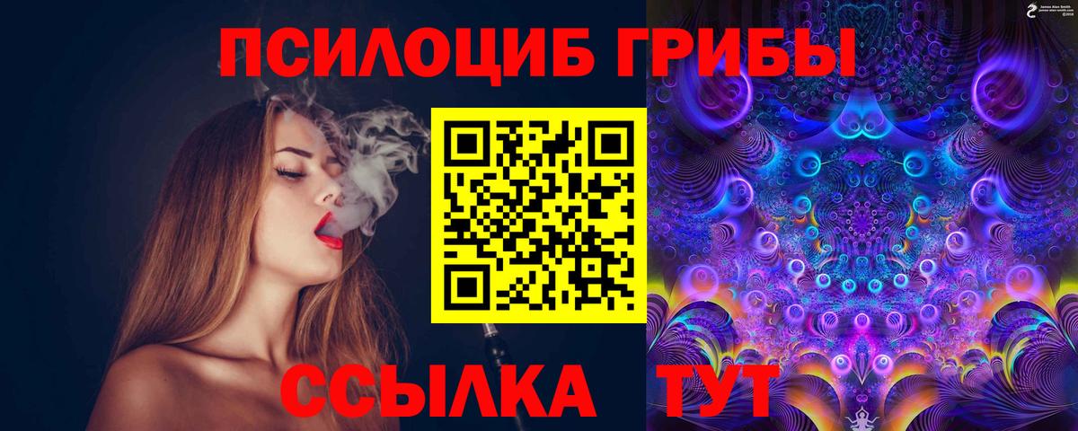 дарнет шоп  Псилоцибиновые грибы MAGIC MUSHROOMS  Вход с VPN  Первоуральск  Псилоцибиновые грибы Cubensis 