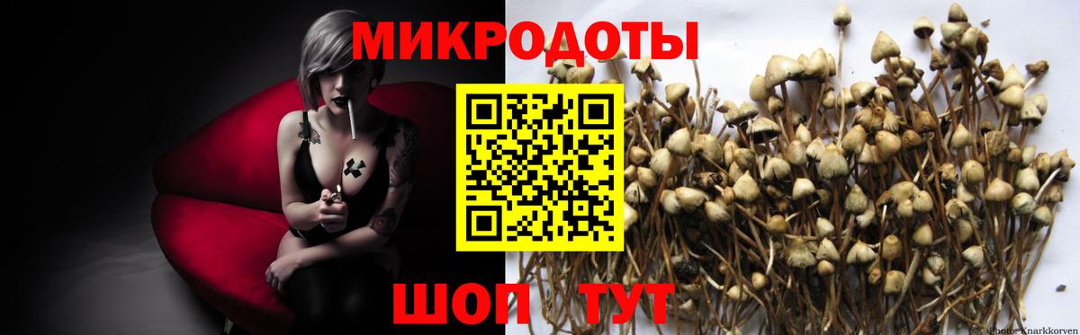 Галлюциногенные грибы Psilocybe Первоуральск